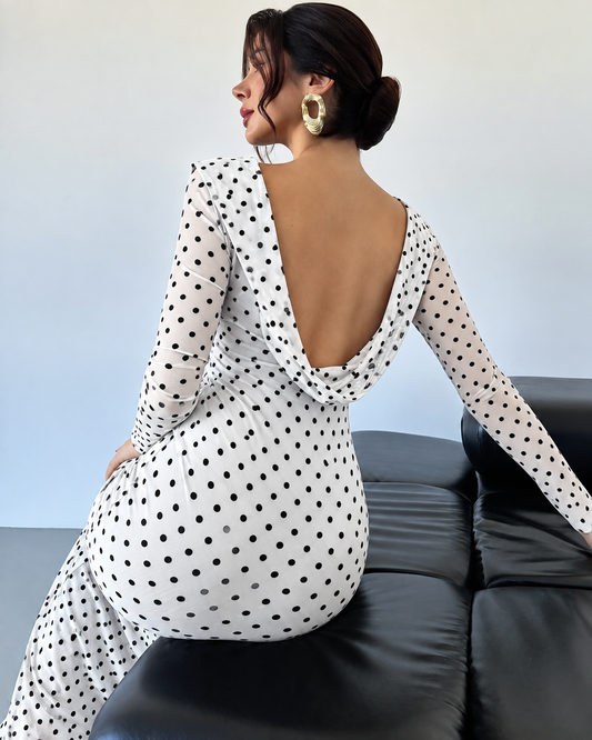 Women’s Elegant Polka Dot Maxi Dress Sheer Long Sleeves Draped Boat Neck Fitted Waist Slim Fit Floor Length Evening Party Dress