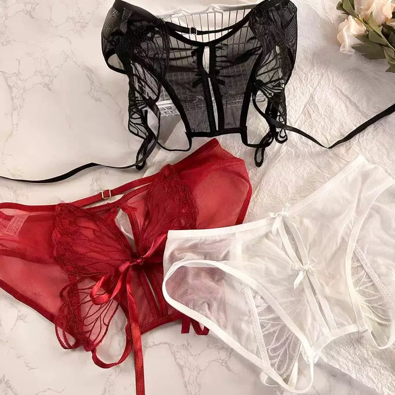 Women's Panties Butterfly Embroidery Mesh Transparent Sexy Women's Underwear Low Waist  Perspective  lace trimThin Briefs